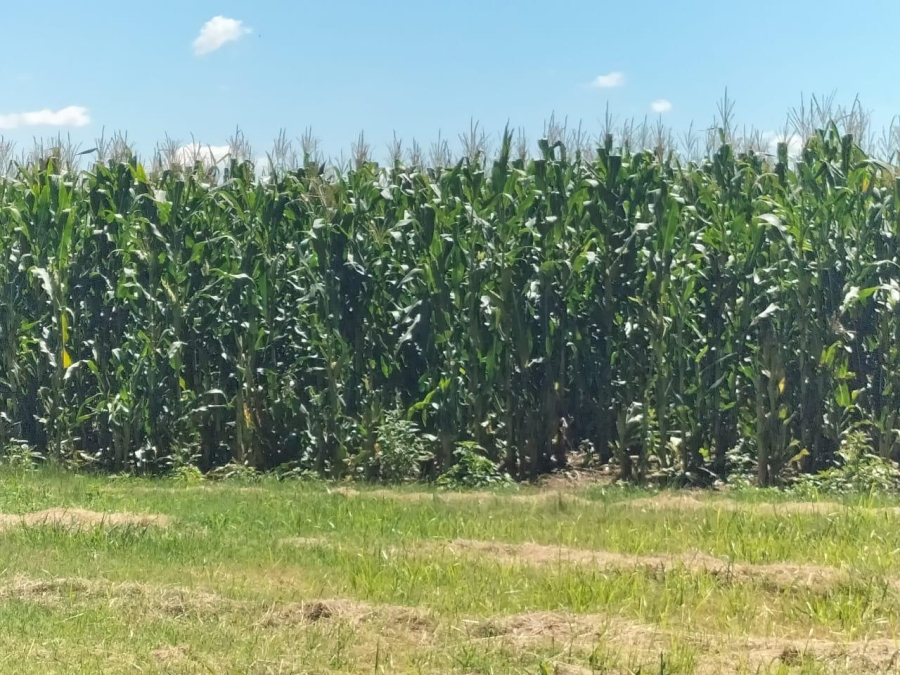 2 Bedroom Property for Sale in Bethlehem Rural Free State